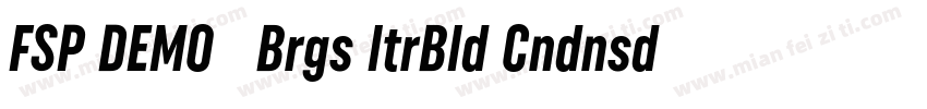 FSP DEMO   Brgs ltrBld Cndnsd Itali字体转换